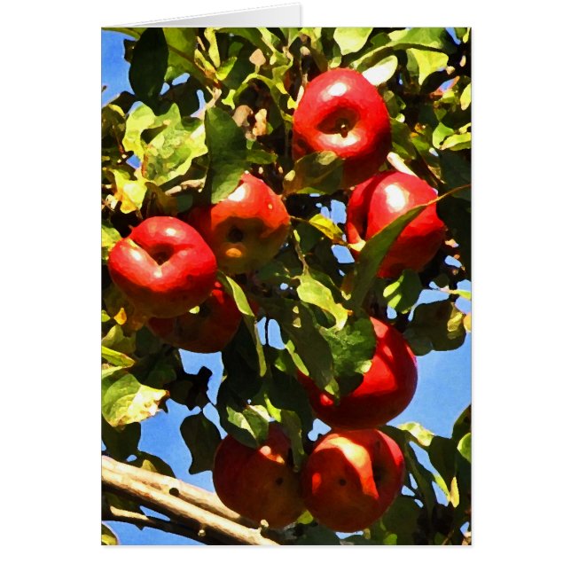Röda äpplen hälsningskort (Framsidan)