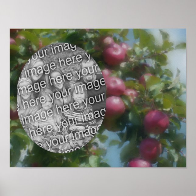 Röda äpplen på Träd Art Skapar ditt eget foto Poster (Framsidan)