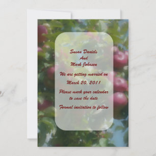 Röda äpplen på träd bröllop save the date inbjudningar