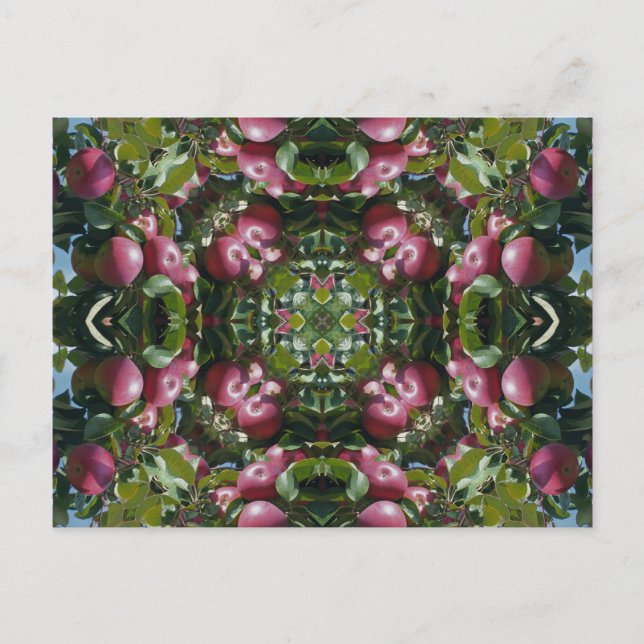 Röda äpplen på trädKaleidoscopekonst Postcar Vykort (Framsida)