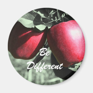 Röda äpplen ska ha olika motiv. magnet