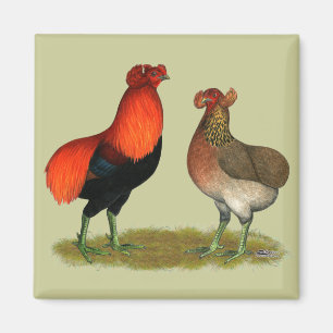 Röda Araucana parar Magnet