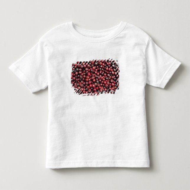 Röda bär från Himalaya T-shirt (Framsida)