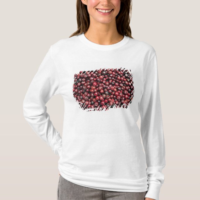 Röda bär från Himalaya T-shirt (Framsida)