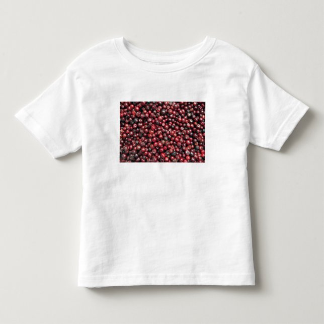 Röda bär från Himalaya T-shirt (Framsida)