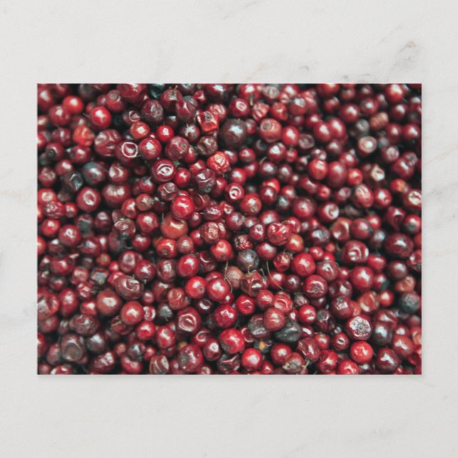 Röda bär från Himalaya Vykort (Framsida)