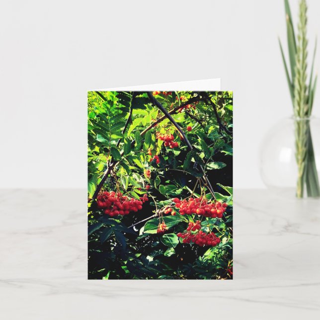 Röda bär kort (Framsida)