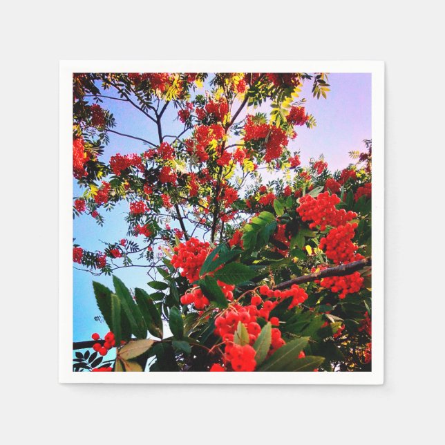 Röda bär pappersservett (Framsidan)