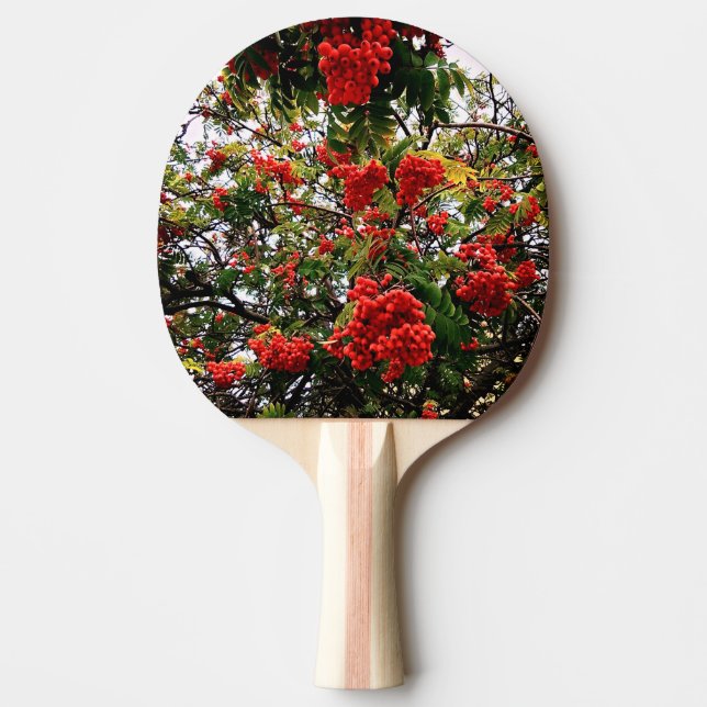 Röda bär pingisracket (Framsidan)