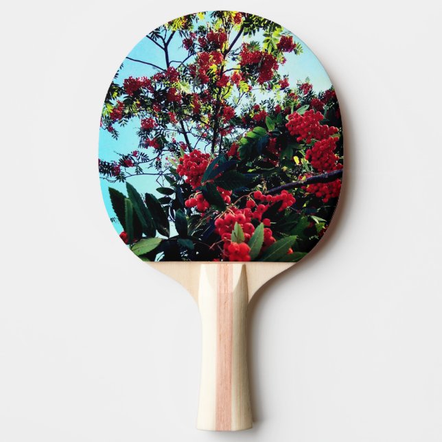 Röda bär pingisracket (Framsidan)