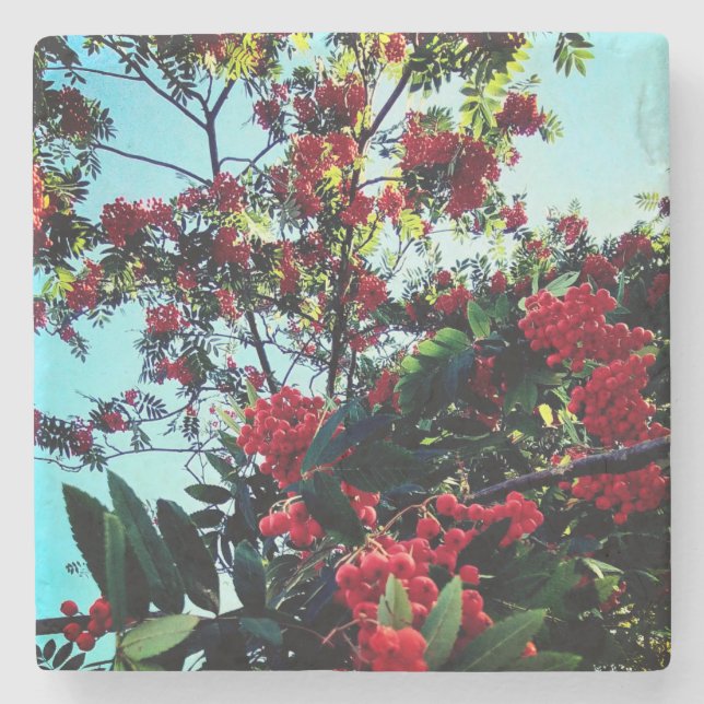 Röda bär stenunderlägg (Framsidan)