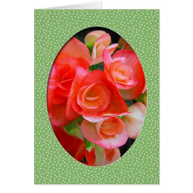 röda begoniblommor hälsningskort (Framsidan)