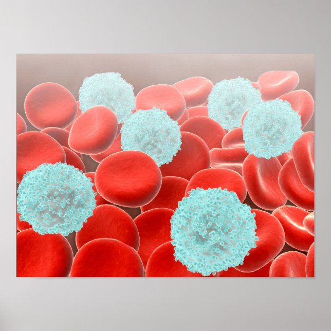 Röda blodceller med vita blodkroppar poster (Framsidan)