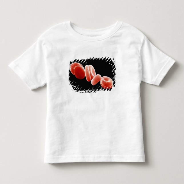 Röda blodceller t-shirt (Framsida)
