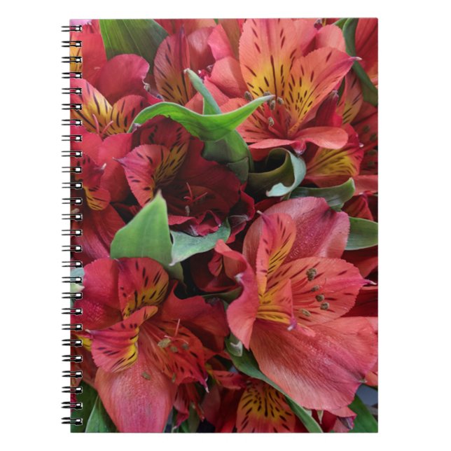 Röda blommor anteckningsbok (Framsidan)