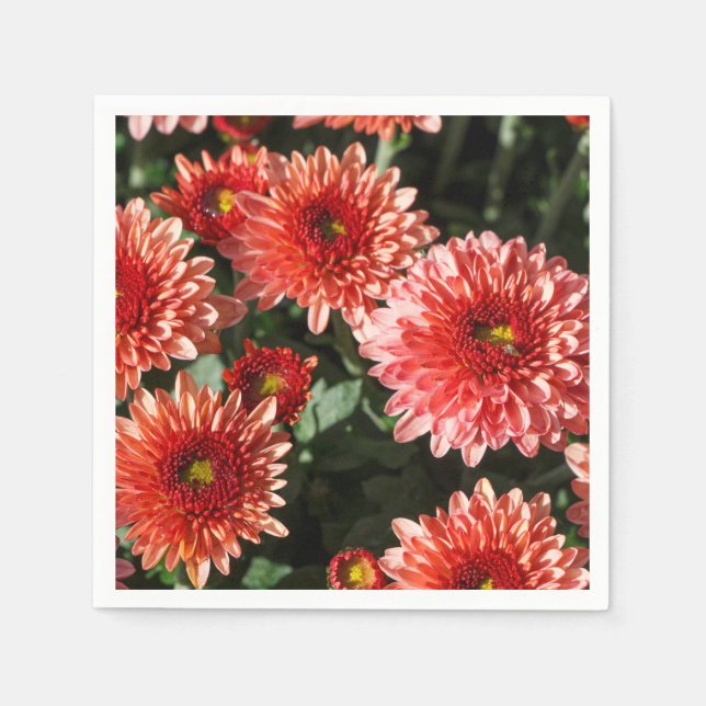 Röda blommor av chrysanthemum pappersservett (Framsidan)