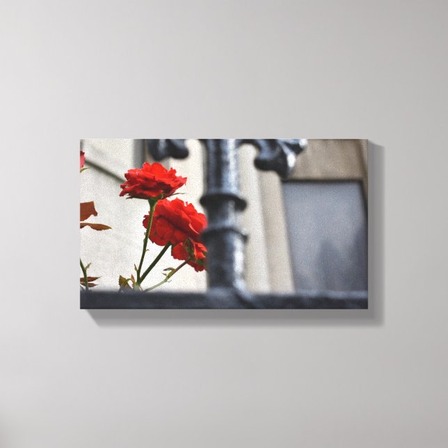 Röda blommor, gatufoto från Järn i New York Canvastryck (Framsida)