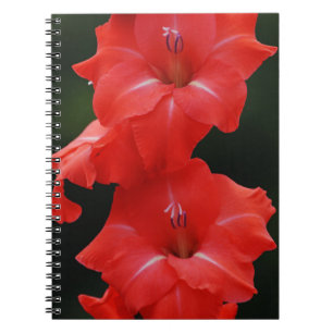 Röda blommor Journal bärbar dator Anteckningsbok
