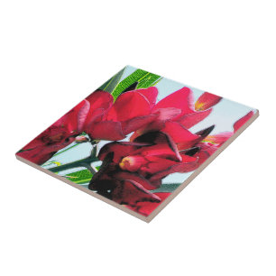 Röda blommor kakelplatta
