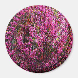 Röda blommor..... magnet