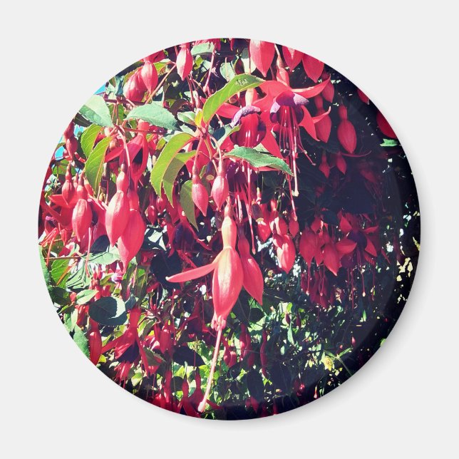 Röda blommor magnet (Framsidan)