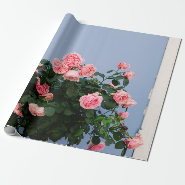 Röda blommor med grönt löv på blå vägg presentpapper (Utrullad)