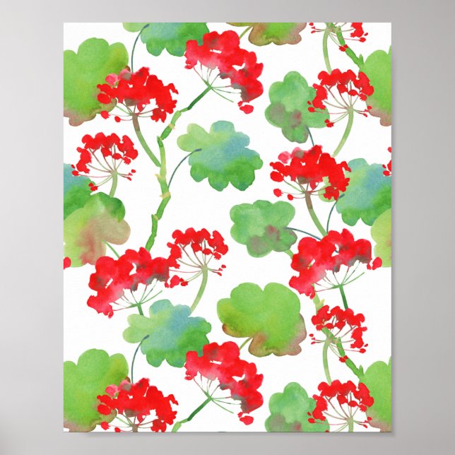 Röda blommor (Pelargonium) Poster (Framsidan)