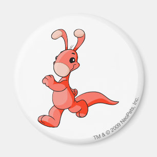 Röda Blumaroo Magnet