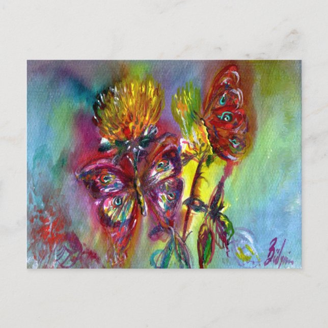 RÖDA BUTTERFLITER PÅ GULT-HISSAR,BLÅ HIMMEL Blommi Vykort (Framsida)