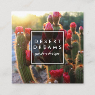 Röda Cactus Flower Desert Garden Photo Travel Tou Fyrkantigt Visitkort