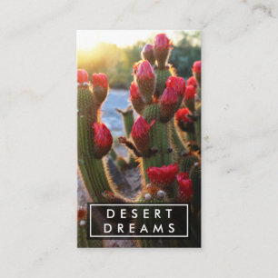 Röda Cactus Flower Desert Garden Photo Travel Tou Visitkort