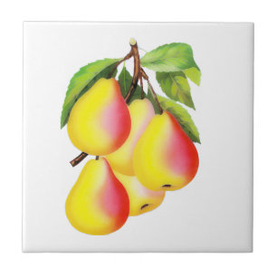 Röda D'Anjou Pears - vintageillustration Kakelplatta