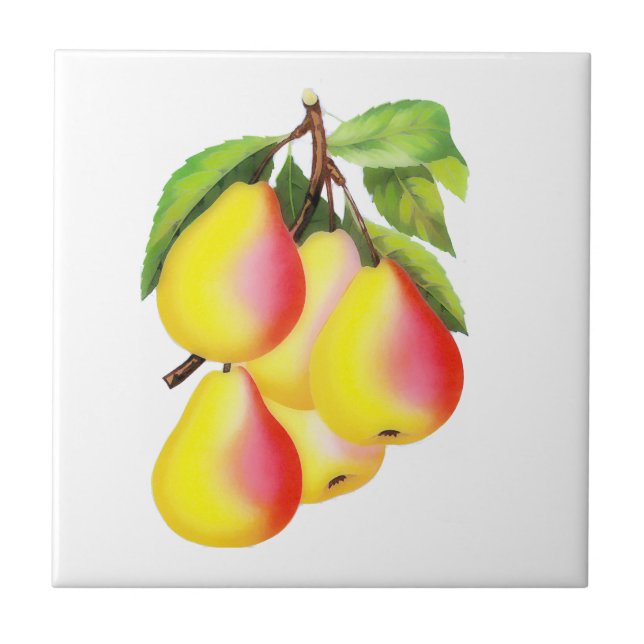 Röda D'Anjou Pears - vintageillustration Kakelplatta (Framsidan)
