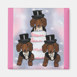 Röda Doxie Groomar Magnet