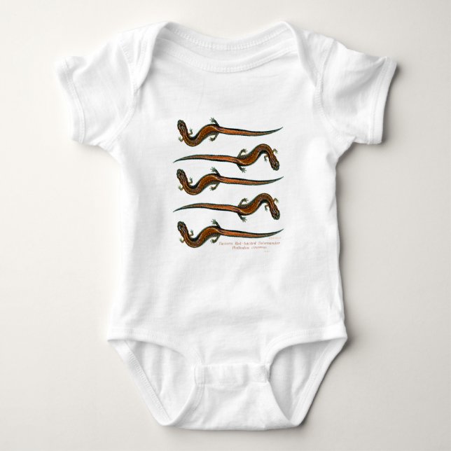 Röda drog tillbaka Salamanders Tee (Framsida)