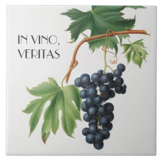 Röda druvor kakelplatta
