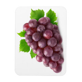 Röda druvor magnet