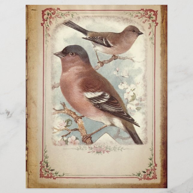 Röda fåglar på en Gren-scrapbook Papper (Framsida)