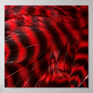 Röda fjädrar poster