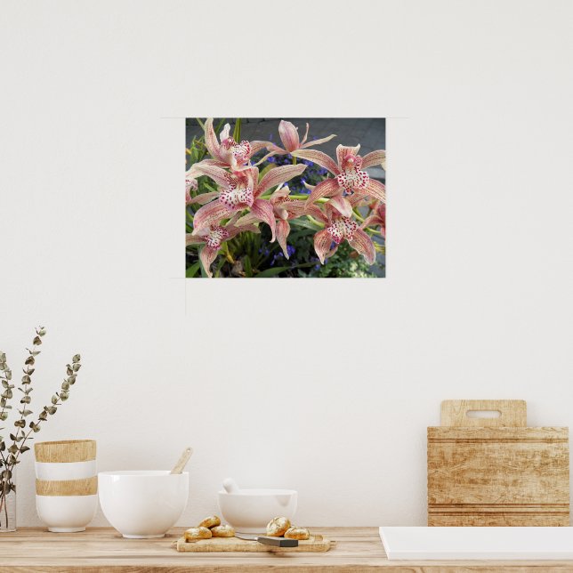 Röda fläckiga Cymbidium-orkidéer Blommig Poster (Kök)