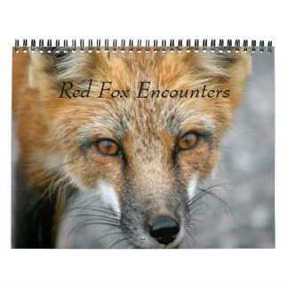 Röda fox-möten kalender