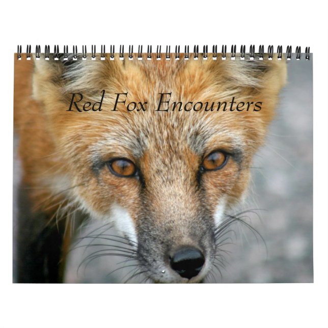 Röda fox-möten kalender (Omslag)