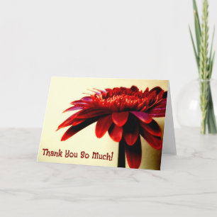 Röda Gerbera Blanka tackkort