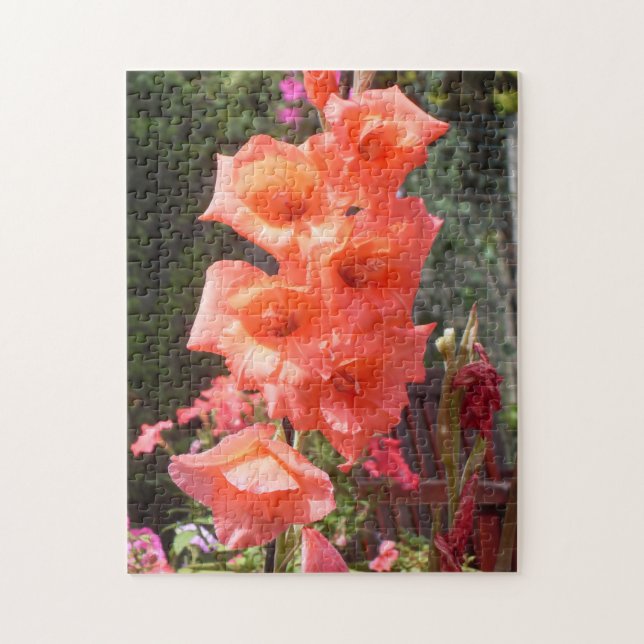 Röda Gladioli Blommor Pussel (Vertikal)