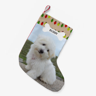 Röda Gröna Ljus Hund Ben Djurfoto Liten Julstrumpa