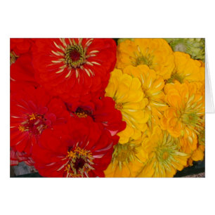 Röda & gula Zinnias Hälsningskort