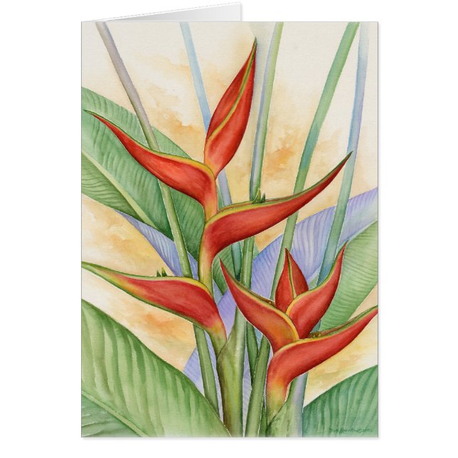 Röda Heliconia tropiska blommor som målar - som är Hälsningskort (Framsidan)