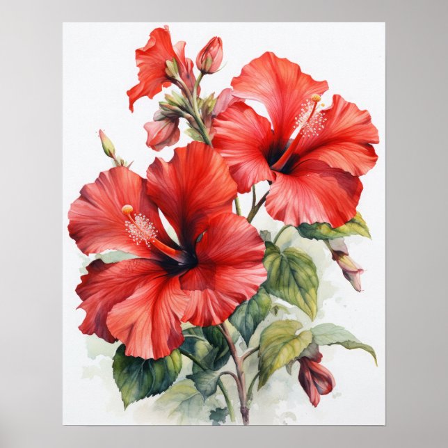 Röda Hibiscus Flowers Art Skriv ut Poster (Framsidan)