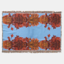 Röda Höst löv och Blå himmel