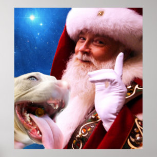 Röda Hund & Jultomten Poster